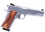 Rock Island Rock Stainless Standard FS 45acp.  Although known for their Parkerized finish 1911 pistols, Rock Island Armory is now making stainless pistols.