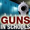 Guns In Schools
