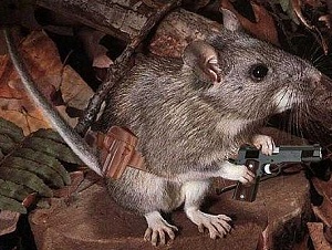 Mousegunner