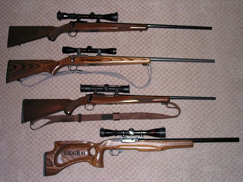 Ruger 22s