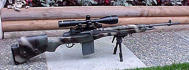 Mike's M14