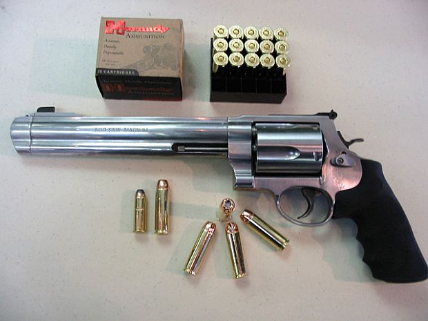 S&W M500