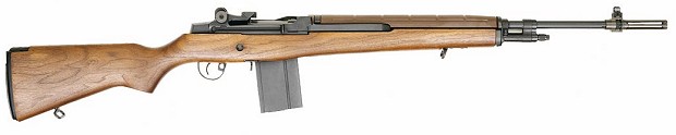 Springfield M1A