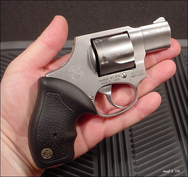 Tiny Taurus