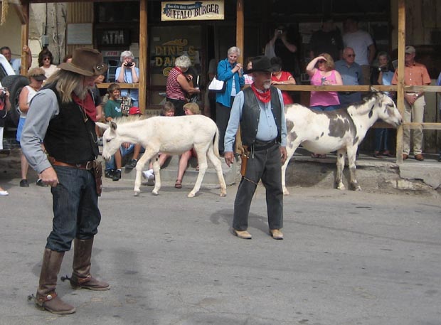 Oatman, AZ Shootout