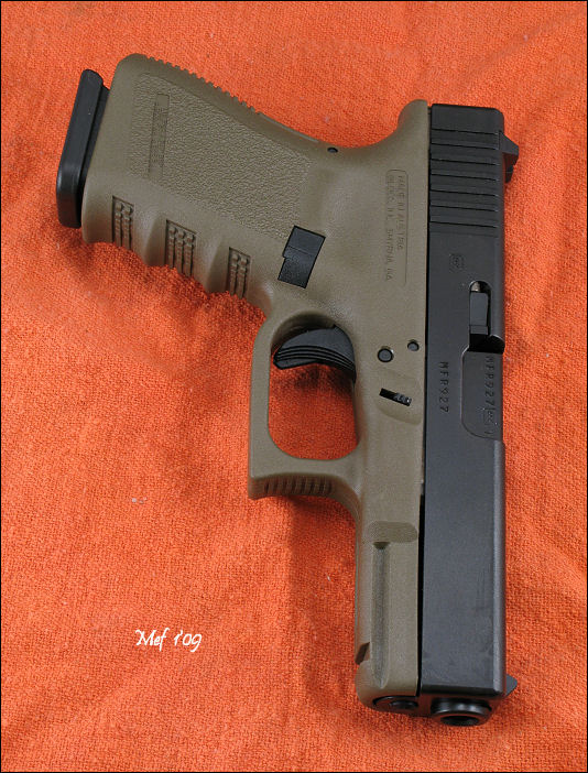 Glock 19