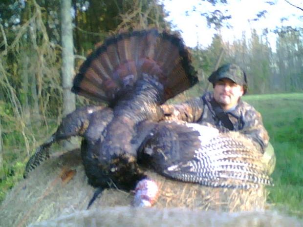 1st Gobbler