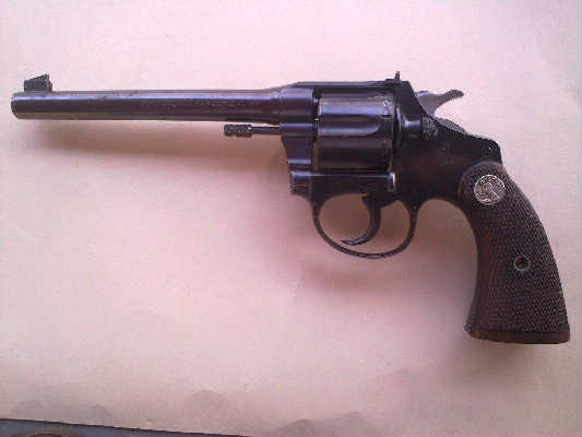 Colt Target 22