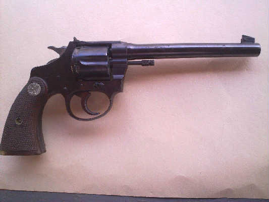 Colt Target 22