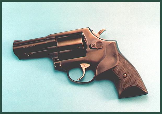 Taurus 431