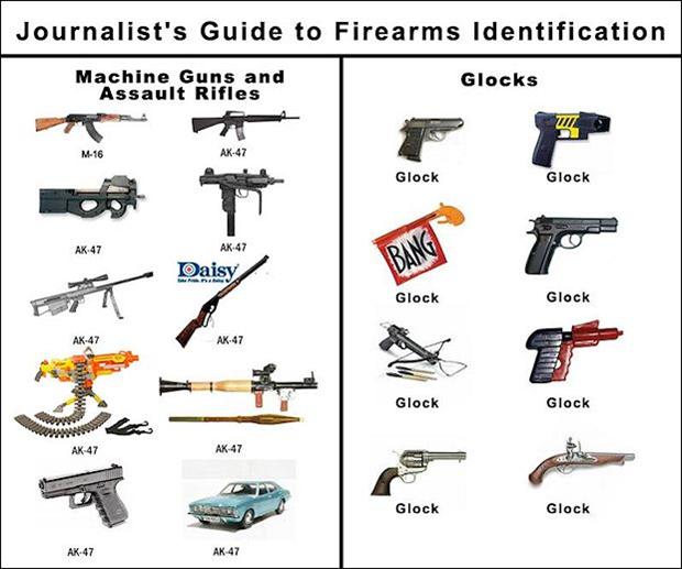 Journalist's Guide