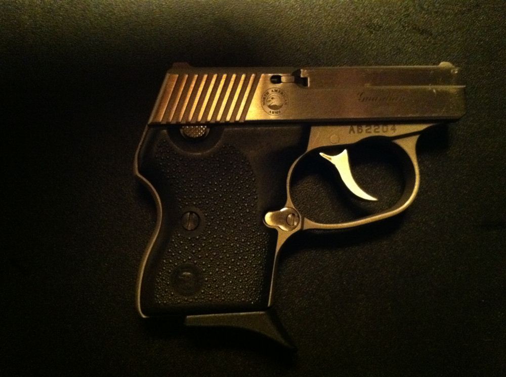 NAA Guardian .32 RightSide