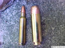 .50 Beowulf / .223 Rem