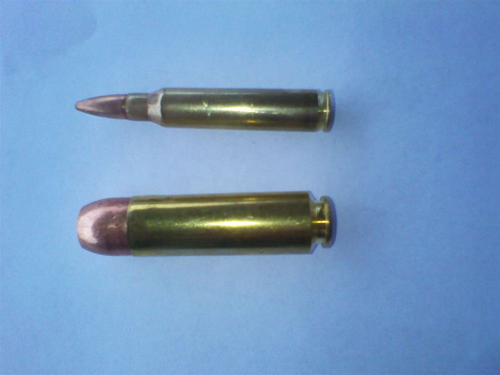 .50 Beowulf vs 5.56 NATO