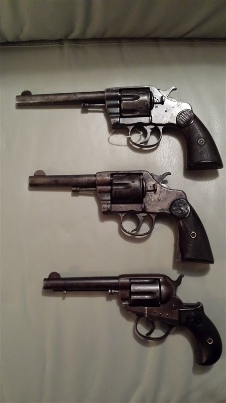 Colt Dead Ponies (Not Wanted)