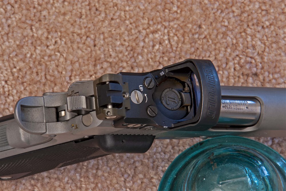 Leupold  red dot with rear sight