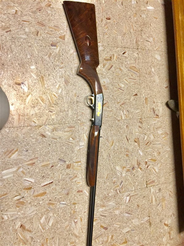 Browning Semi-auto 22