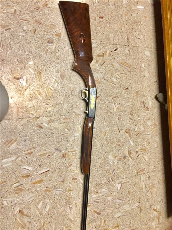 Browning Semi-auto 22