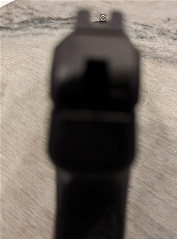 Ruger LCR Max front sight view