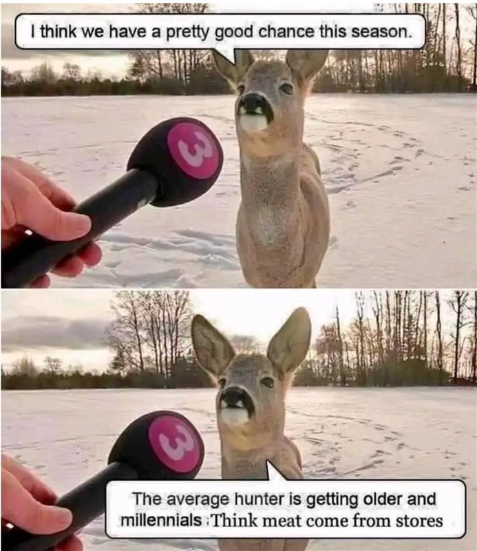 Deer Report