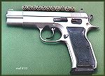 EAA Witness 10mm with Tennifer finish.  Unlike Glocks, the Witness is not blued over the top of the Tennifer, and appears something like stainless steel.  Atop the slide are eleven rounds of Wincheste