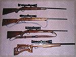 Ruger 22 riflesRuger 22sjerry webb