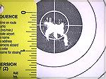 This is a 10 shot group from my Ruger 10/22 shot with Eley Practice 100 at 60 yards on 10/08/02.10/22 60 yard groupJohn Will