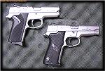 RCMP-issue S&W's.  Upper is a 3953, issued to undercover personnel, and those with "small hands".  The lower is a Model 5946, and is the general-issue pistol for uniformed personnel.RCMP issue S&W'sMi