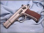 EAA Witness 10mm auto with "Wonder Finish" and Tanfoglio walnut stock panels.