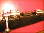 My Savage Arms model 116FSS in .30-06 caliber