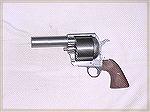 twenty shot revolver