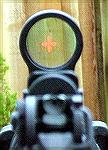 The sight picture through my ATN Holosight, with the iron sights folded down.
