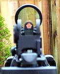 The sight picture through my holosight with the iron sights deployed.