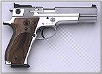Smith & Wesson's successor to the Model 52 .38 Midrange Wadcutter Special, the 9mm-chambered, stainless steel model 952.  Price is a cool two grand circa February 2005....