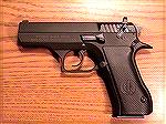 This is my .40S&W Baby Eagle &quot;Compact&quot;. It has a shorter barrel than the service model, but same frame and grip. Magazine capacity is 12 rounds.