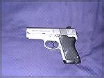 S&W 4553TSW.  Nice compact hard to find 45!