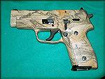 SIG P228 with factory camo.  Although often advertized as &quot;desert camo,&quot; this pistol uses a hunting cammo pattern.