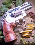 Colt Anaconda .44 Magnum with custom short barrel.  Gunsmithing by Mag-na-port.
