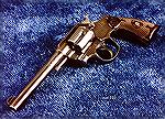 Colt Army Special I used to own--another good one that got away!