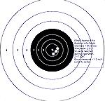 Group fired from a DPMS AP4 Carbine with 16&quot; barrel while zeroing the Bushnell HOLOsight.  50 yards benchrest.  Winchester Factory 55-grain FMJ (Q3131) ammunition.