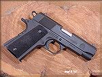 Springfield Compact Milspec .45ACP with a 4&quot; barrel.