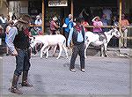 Street shootout in Oatman, Arizona.  The show depicts a confrontation between the Farley clan and the Granger clan (Farley...Granger, get it?) over a supposedly rustled pig.  The Grangers swore they d