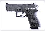 SIG-Sauer P220 Carry, which features a full-length butt and a short barrel.  .45ACP.