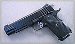 45acp Kimber Warrior