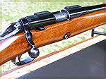 These are a couple closer shots of the Winchester 'sporterized' 52B ..