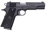 New GI Expert model from Para Ordnance.  This model is oviously intended to compete with the almost identical Springfield Milspec model (not the GI45).