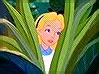 Alice in Wonderland - Disney Forum