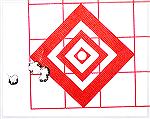 5-round 100 yard group fired during load workup process for FNH Patrol Bolt Rifle in .300WSM. Without called flier it measures just under .4 inches center-to-center. 