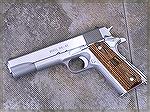 Springfield GI45 in stainless steel.