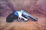 Poor photo but the only one I have of the 1st generation stainless steel Charter Arms Bulldog I owned in the 1980s.  3" barrel, five shot cylinder, caliber .44 Special.  I sold it because at the time 